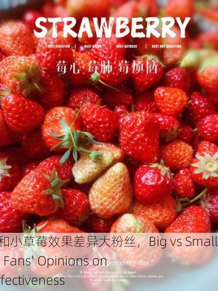 蜜丝婷大草莓和小草莓效果差异大粉丝，Big vs Small Strawberry： Fans' Opinions on Miss Ting's Effectiveness