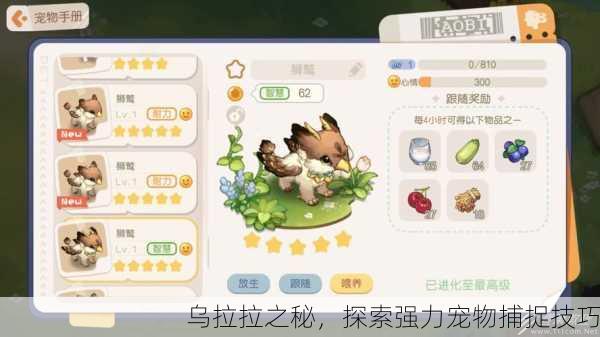 乌拉拉之秘，探索强力宠物捕捉技巧