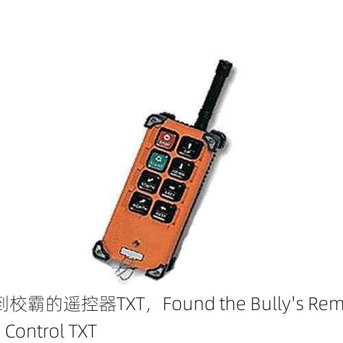 捡到校霸的遥控器TXT，Found the Bully's Remote Control TXT