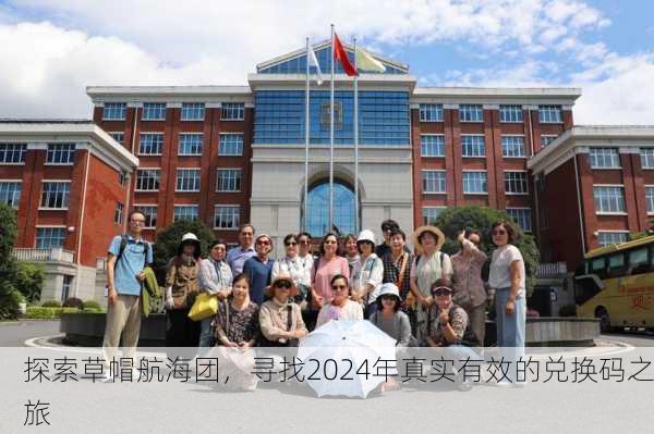 探索草帽航海团，寻找2024年真实有效的兑换码之旅