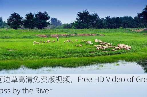 青青河边草高清免费版视频，Free HD Video of Green Grass by the River