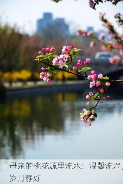 母亲的桃花源里流水：温馨流淌，岁月静好
