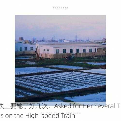 高铁上要她了好几次，Asked for Her Several Times on the High-speed Train