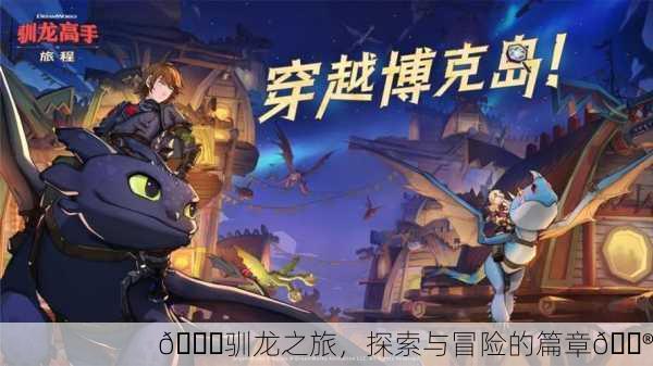🐉驯龙之旅，探索与冒险的篇章🎮