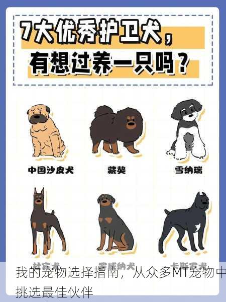 我的宠物选择指南，从众多MT宠物中挑选最佳伙伴