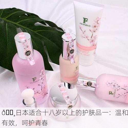 🌸日本适合十八岁以上的护肤品一：温和有效，呵护青春