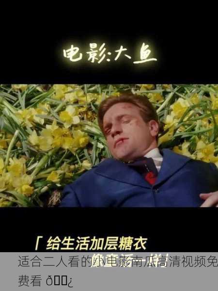 适合二人看的小电影南瓜高清视频免费看 🍿