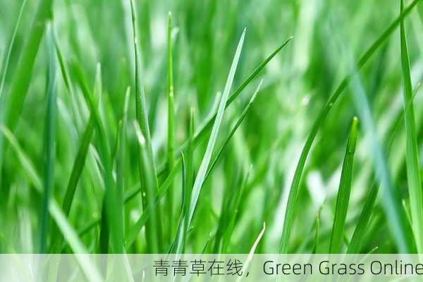 青青草在线，Green Grass Online
