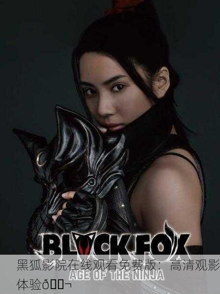 黑狐影院在线观看免费版：高清观影体验🎬