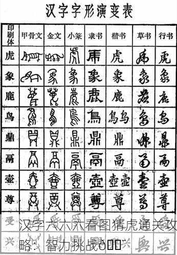 汉字六六六看图猜虎通关攻略：智力挑战🎯