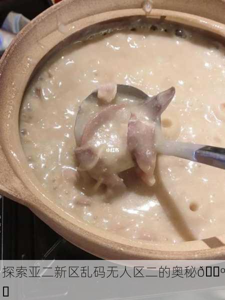 探索亚二新区乱码无人区二的奥秘🗺️