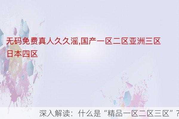 深入解读：什么是“精品一区二区三区”？
