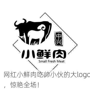 网红小鲜肉吃帅小伙的大logo，惊艳全场！