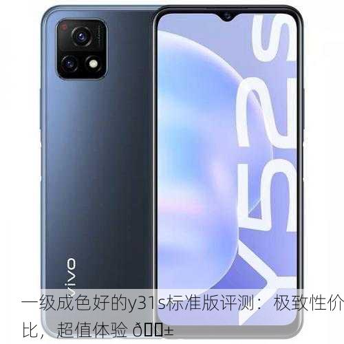 一级成色好的y31s标准版评测：极致性价比，超值体验 📱