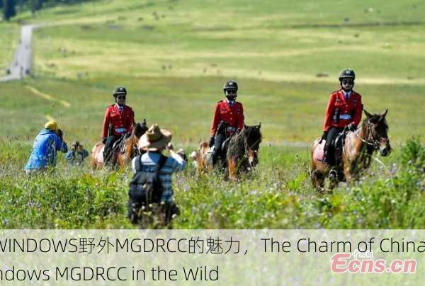 中国WINDOWS野外MGDRCC的魅力，The Charm of China's Windows MGDRCC in the Wild