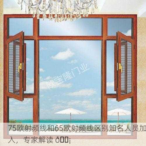 75欧射频线和65欧射频线区别知名人员加入，专家解读 📡
