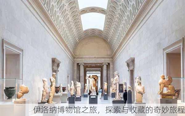 伊洛纳博物馆之旅，探索与收藏的奇妙旅程