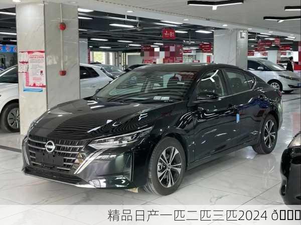 精品日产一匹二匹三匹2024 🌟