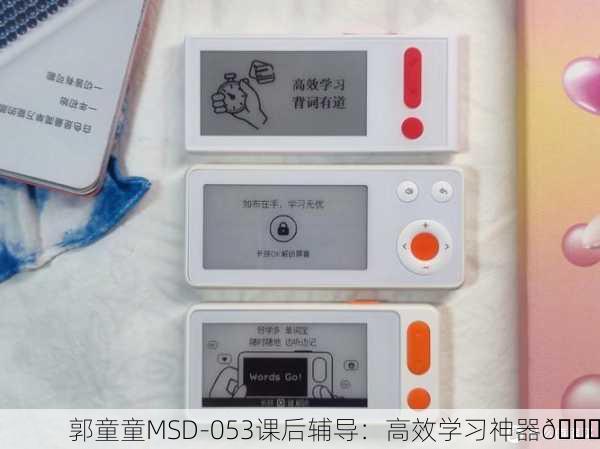 郭童童MSD-053课后辅导：高效学习神器📚