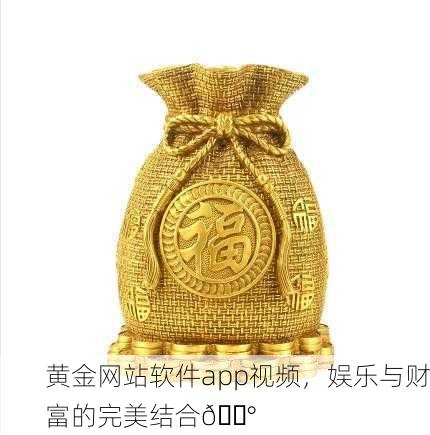 黄金网站软件app视频，娱乐与财富的完美结合💰