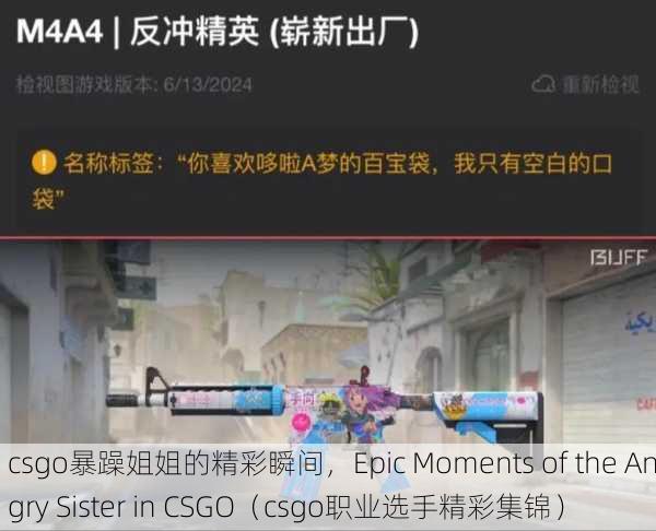 csgo暴躁姐姐的精彩瞬间，Epic Moments of the Angry Sister in CSGO（csgo职业选手精彩集锦）