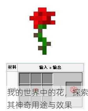 我的世界中的花，探索其神奇用途与效果
