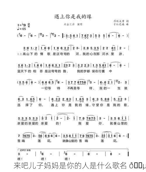来吧儿子妈妈是你的人是什么歌名 🎵