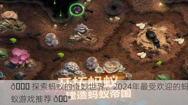 🐜 探索蚂蚁的奇妙世界，2024年最受欢迎的蚂蚁游戏推荐 🎮