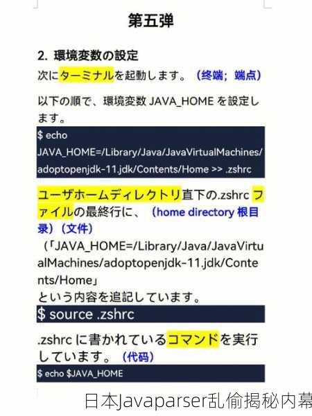 日本Javaparser乱偷揭秘内幕