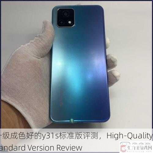 高质量一级成色好的y31s标准版评测，High-Quality Y31S Standard Version Review