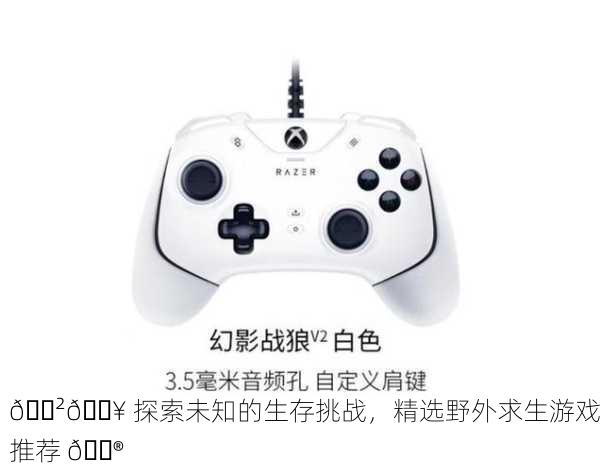 🌲🔥 探索未知的生存挑战，精选野外求生游戏推荐 🎮