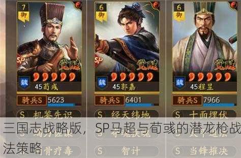 三国志战略版，SP马超与荀彧的潜龙枪战法策略