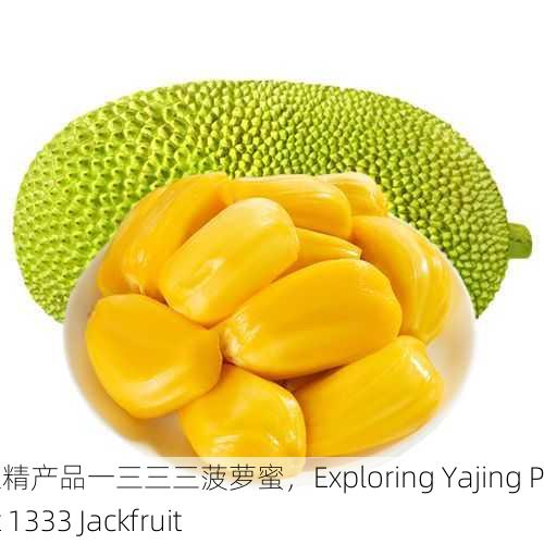 探秘亚精产品一三三三菠萝蜜，Exploring Yajing Product 1333 Jackfruit