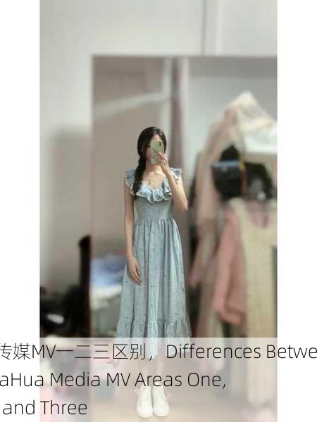 麻花传媒MV一二三区别，Differences Between MaHua Media MV Areas One, Two, and Three