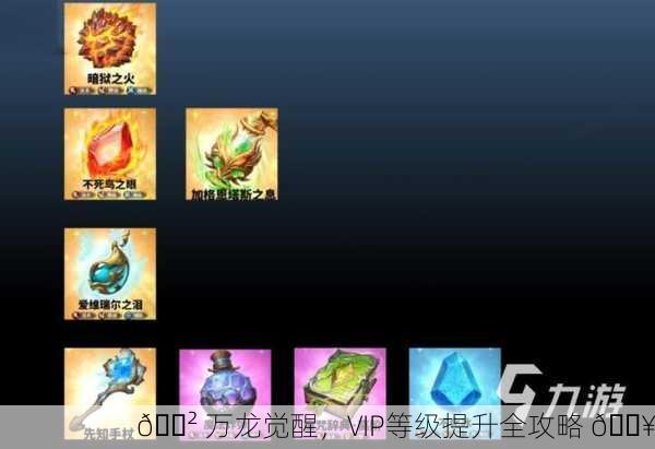 🐲 万龙觉醒，VIP等级提升全攻略 💥