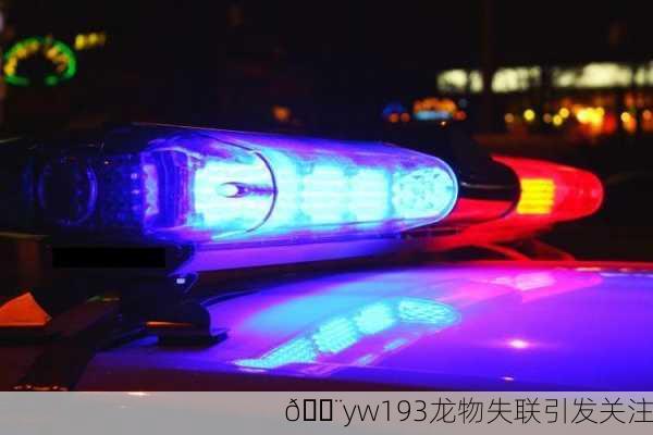 🚨yw193龙物失联引发关注