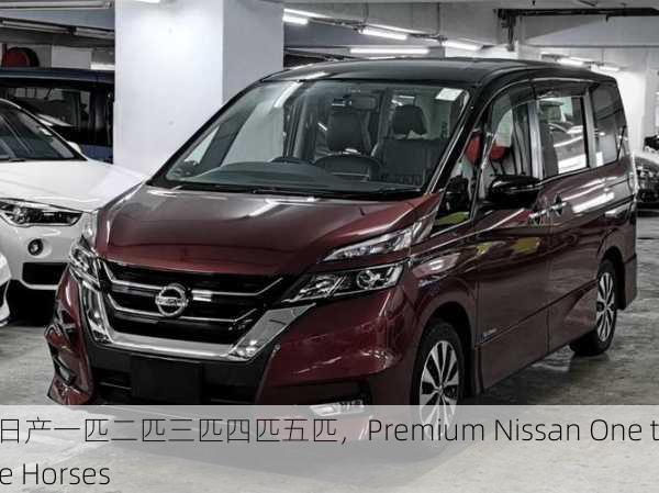 精品日产一匹二匹三匹四匹五匹，Premium Nissan One to Five Horses