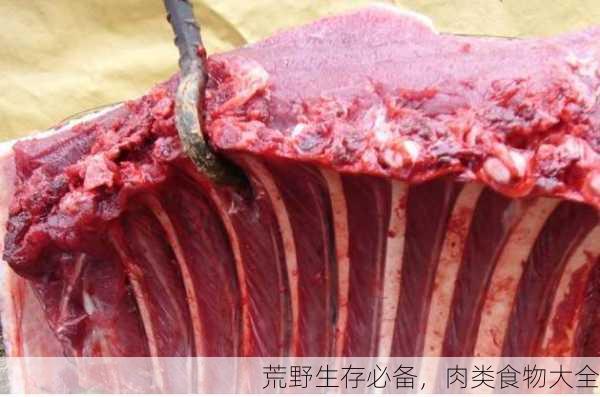 荒野生存必备，肉类食物大全