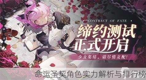 命运圣契角色实力解析与排行榜