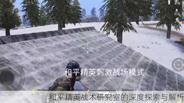 和平精英战术研究室的深度探索与解析