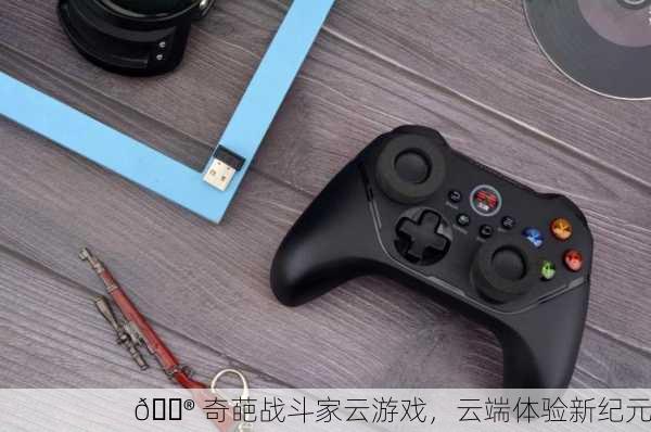 🎮 奇葩战斗家云游戏，云端体验新纪元