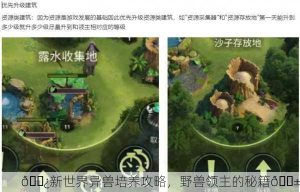 🌿新世界异兽培养攻略，野兽领主的秘籍🌱