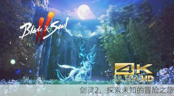 剑灵2，探索未知的冒险之旅