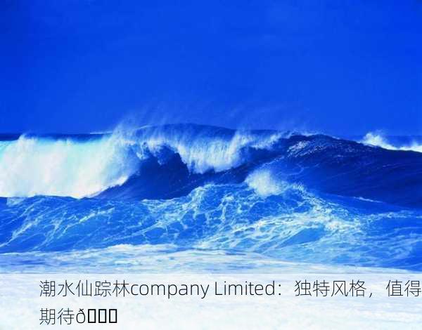 潮水仙踪林company Limited：独特风格，值得期待🌊