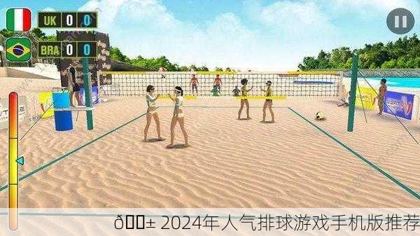 📱 2024年人气排球游戏手机版推荐