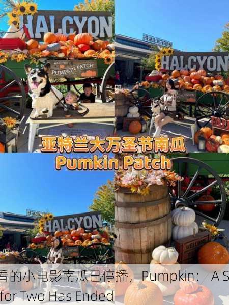 适合二人看的小电影南瓜已停播，Pumpkin： A Short Film for Two Has Ended
