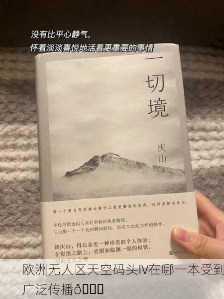 欧洲无人区天空码头IV在哪一本受到广泛传播📚