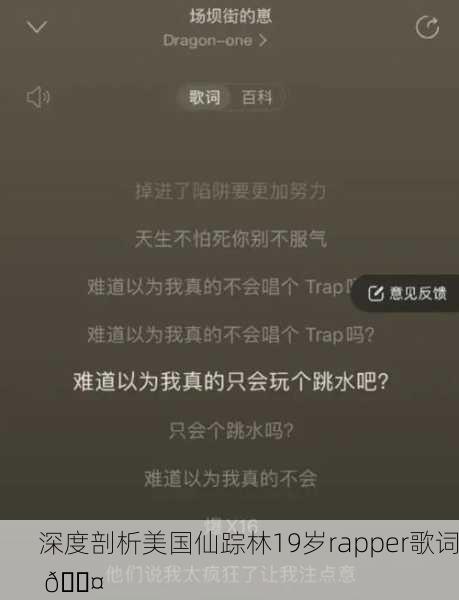 深度剖析美国仙踪林19岁rapper歌词 🎤