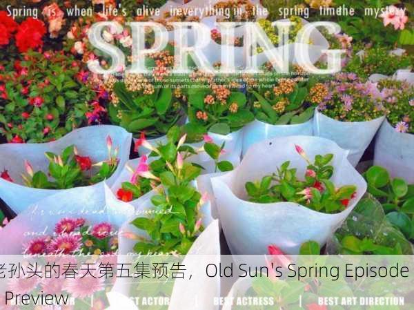老孙头的春天第五集预告，Old Sun's Spring Episode 5 Preview