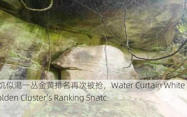 水帘白瀑如饥似渴一丛金黄排名再次被抢，Water Curtain White Falls： A Golden Cluster's Ranking Snatched Again